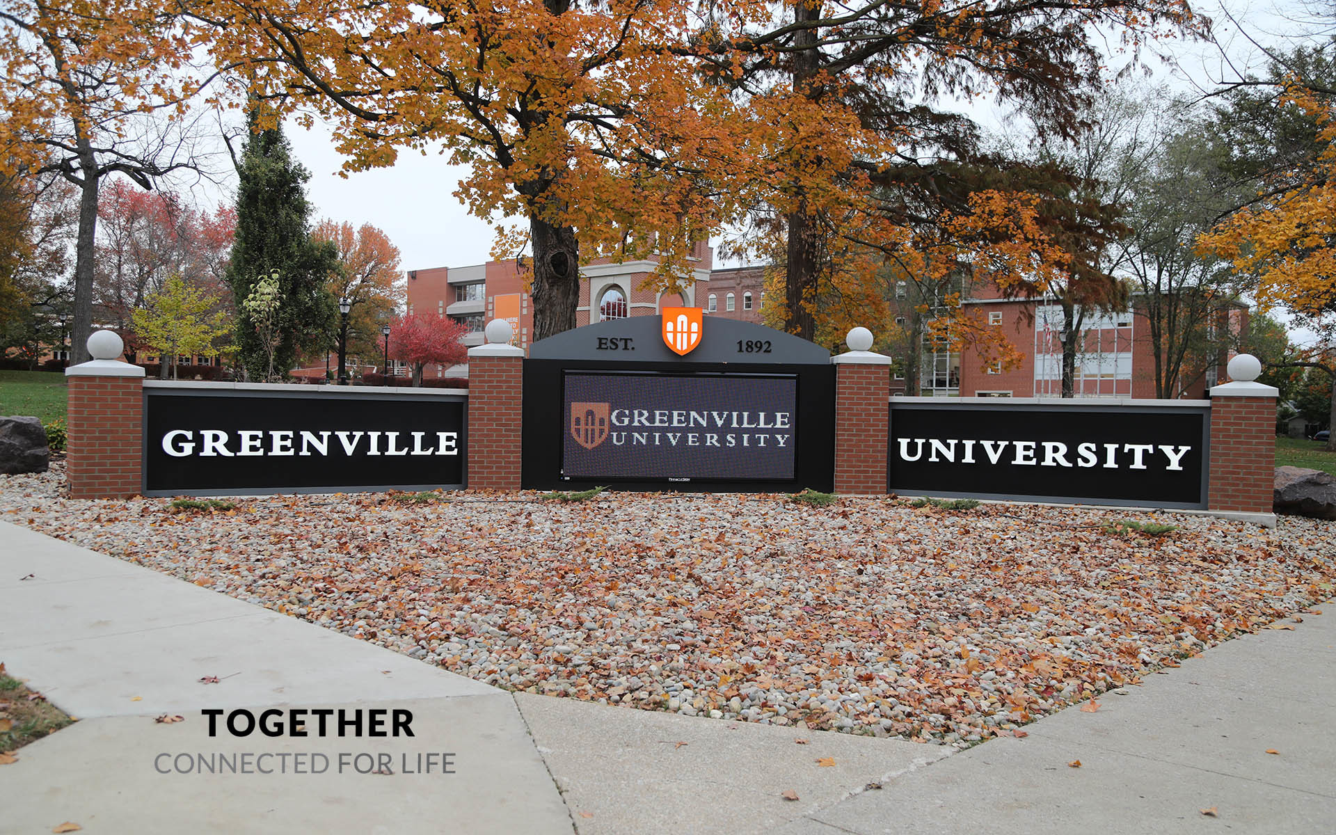 truonggreenvilleuniversity