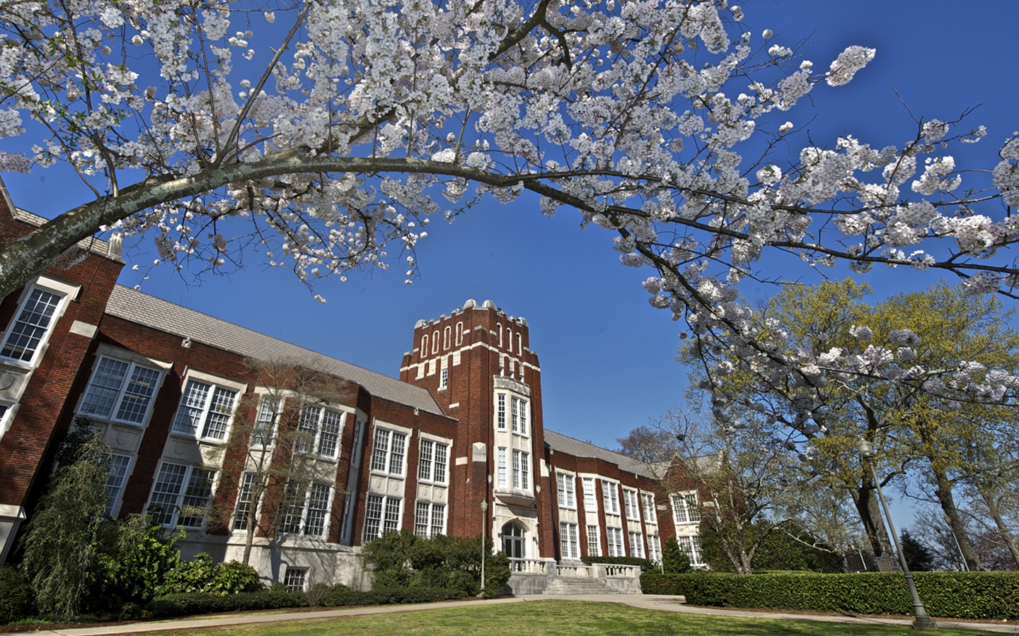 hocbongtruongjacksonvillestateuni