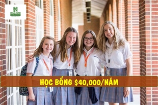 Học bổng du học Mỹ "siêu khủng" lên đến $40,000 từ Brool Hill School