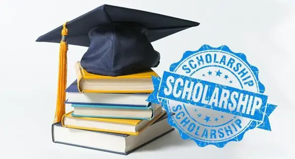 Hướng Dẫn Cách Apply Học Bổng Mỹ: Quy Trình Và Kinh Nghiệm Từ A-Z