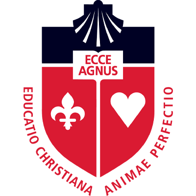 Saint John's University