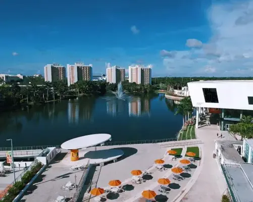 University of Miami 